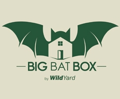 Big Bat Box