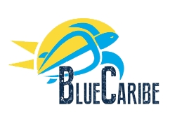 Blue Caribe Tours