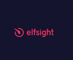 Elfsight