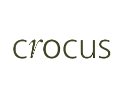 Crocus