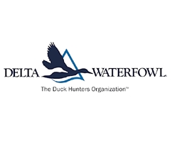 Delta Waterfowl