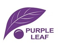 Purple Leaf